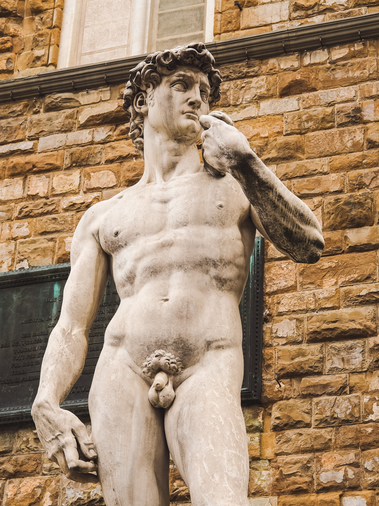 David Statue in Florenz